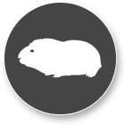 Mazlíčci